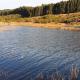 Star Dam Estate - Tranquil Cottage, Lidgetton (fotografie 7)