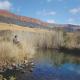Star Dam Estate - Tranquil Cottage, Lidgetton (fotografie 3)