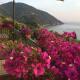 B&B Case Rosse Camogli - Foto 4