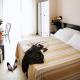 Hotel Airone, Rimini (photo 2)