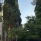 Athens Central Green 7 min from metro and 2 min from trolley, Athen - Foto 10
