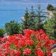 Nate Apartments, Ohrid
