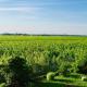 Appartement avec vue sur les vignes à Gevrey, Gevrey-Chambertin - Fotografie 1