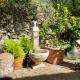 Ca' dei Merli - charming Italian village house, Casanova Lerrore (fotografie 2)