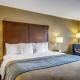 Comfort Inn & Suites Grafton-Cedarburg, Grafton (fotografie 10)