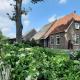 Bed en Breakfast Gees, Gees (foto 9)