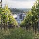 Holiday Inn - the niu, Form Stuttgart Feuerbach by IHG, Stuttgart (photo 3)