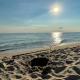 Apartament Seagull 30m2 (300 meters to the sea), Hel (photo 4)