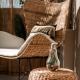 Diogenis Seaside Suite, Rethymno (Foto 10)