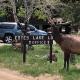 Estes Lake Lodge, Estes Park (fotografie 2)