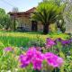 Patras stonehouse with large yard - Πέτρινο σπίτι με αυλή, Paralía (Foto 5)