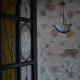 Gala - Guesthouse, Oradea - Fotografie 5