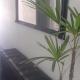 Hotel Tomazina, Tomazina (foto 4)
