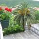 Apartments Royal, Budva