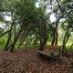 Leshiba Wilderness, Louis Trichardt (foto 2)