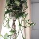 Coliving Trastevere, Roma - Foto 2