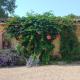 Albi à proximité, maison d'hotes les oliviers, Rosières (foto 3)