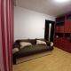 ALMA Apartament, Piatra Neamţ (foto 10)