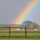 The Hayloft at Oakwood Barn, Newbury (photo 2)