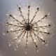 Apollofirst Boutique Hotel, Amsterdam (photo 5)