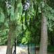 Forest gate Vendégház, Mátraszentimre (fotografie 7)