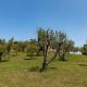 Il Casale Lonato, Oasi di Piacere Immersa nel Verde con Piscina - by HOST4U, Lonato (foto 7)