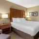 Comfort Inn Moline - Quad Cities, Moline (foto 7)