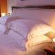 Hotel Boutique Vila Fernando Tirana, Tirana - Photo 4