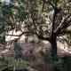 Fabulosa Casa del Árbol, Малага - Фото 8