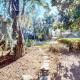 34 Water Oak Hilton Head Island - Fotografie 3