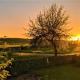 Pension Margaretenhof, Bayerbach - Foto 10