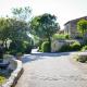 Cigale de Gordes