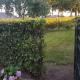 Op ut Schoor, Sint-Oedenrode (photo 8)
