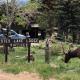 Estes Lake Lodge, Estes Park