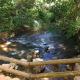 Apto 345 Thermas Paradise, Rio Quente - Zdjęcie 5