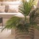 Apollonos 28 Luxury Suites, Athen - Foto 5