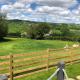 The Shepherds Hut at Hafoty Boeth, Corwen (zdjęcie 8)