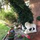 Haus Claudia, Schneverdingen - Photo 8