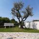 Affittacamere Da Lina, Vittorio Veneto (Foto 8)