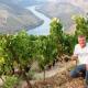 Stay at the Winemaker Ervedosa do Douro - Photo 8