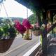 die rote Ente, Mürlenbach - Foto 9