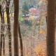 Ferien Langer Grund mitten im Wald, Bad Pyrmont - Foto 9