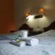 Hotel Viru Viru 1, Santa Cruz de la Sierra - Foto 5