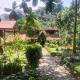 Mountain View Cottages & Villa Tangkahan