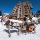 Hôtel des Dromonts by SOWELL COLLECTION, Avoriaz (fotografie 3)