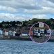 Vitamin Sea with a Sea View and Parking, Lyme Regis (photo 5)