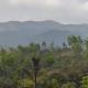 Jade Hills Coorg, Madikeri - Foto 6