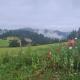 CABANA CEITREI - MOUNTAIN VIEW GIUMALAU, Cozăneşti (zdjęcie 5)