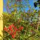 Apartamento Flor de Canela, カネラ - 写真 7