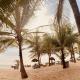 Jungle Beach Resort, Sanyang (fotografie 7)